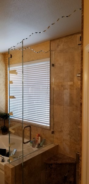 Shower Door